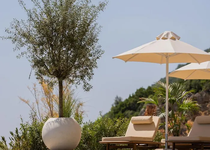 Coast Mgallery Collection