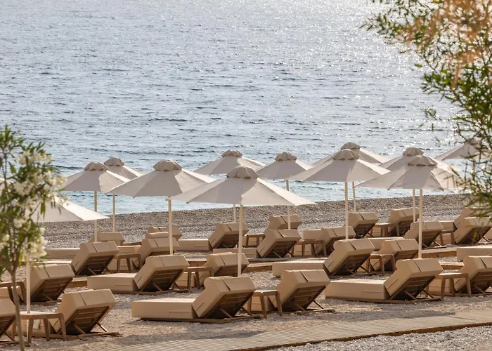 Coast Mgallery Collection Avlonya